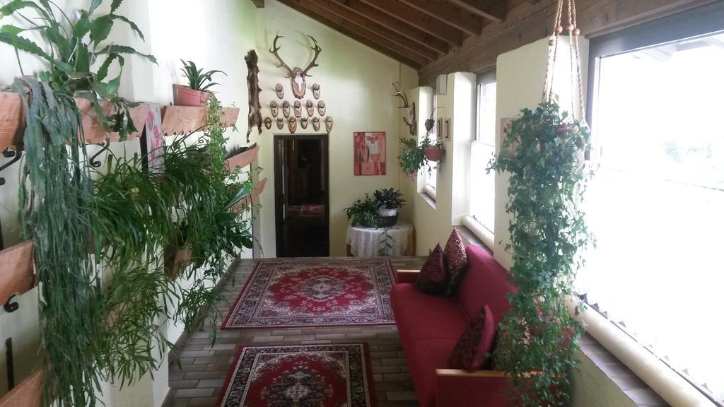 Hotel Alpenblick Pfelders Extérieur photo